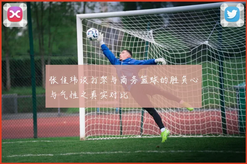 张佳玮谈打架与商务篮球的胜负心与气性之真实对比