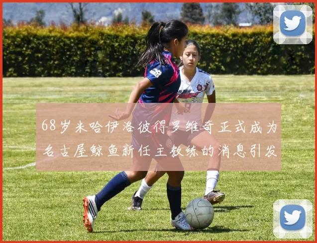 68岁米哈伊洛彼得罗维奇正式成为名古屋鲸鱼新任主教练的消息引发关注