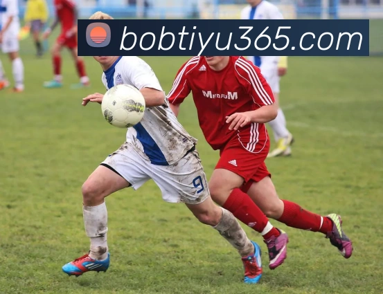 BOB体育APP 封面图